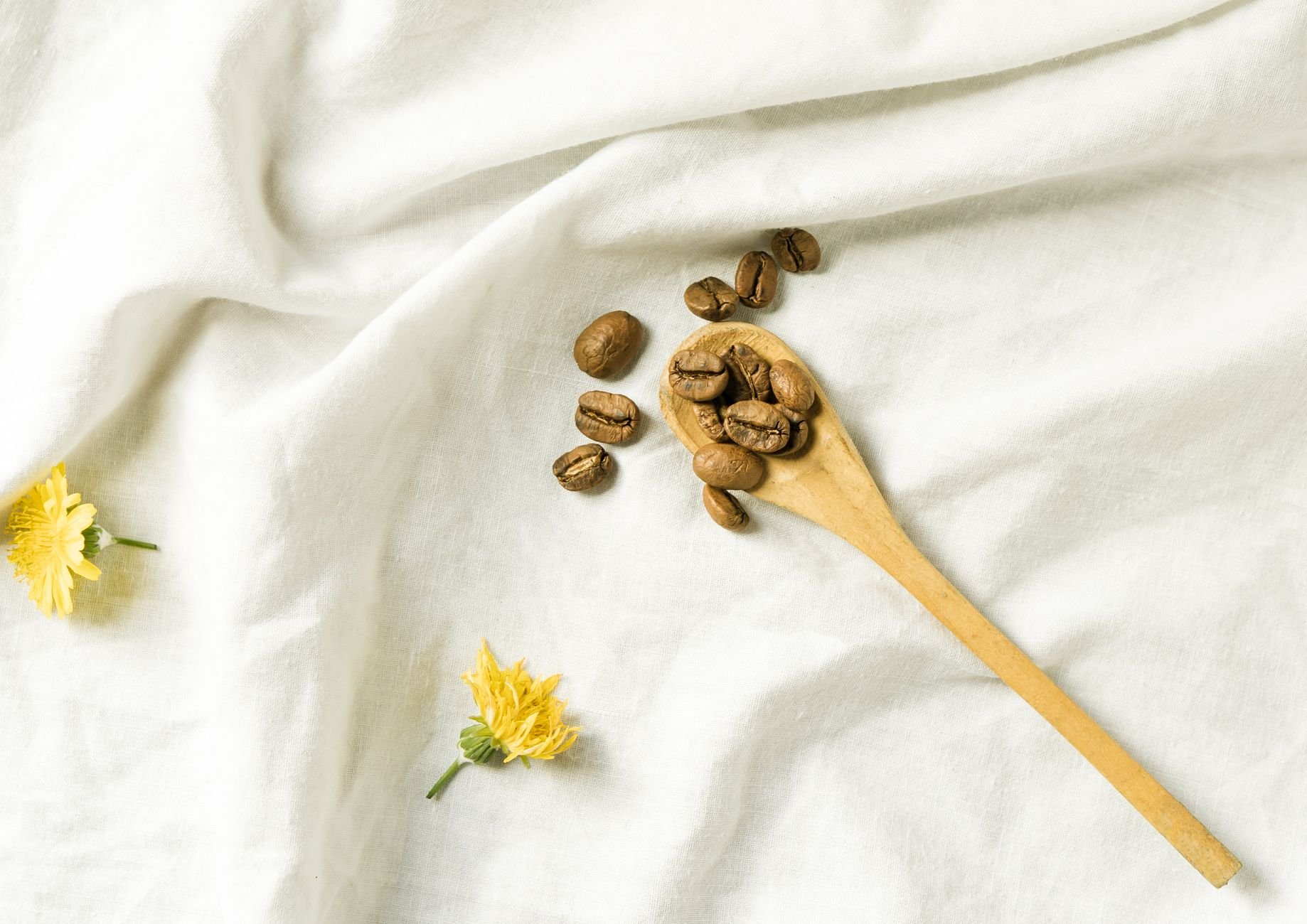 Natural botanical ingredients arranged on a light surface — herbs, oils, and plant extracts